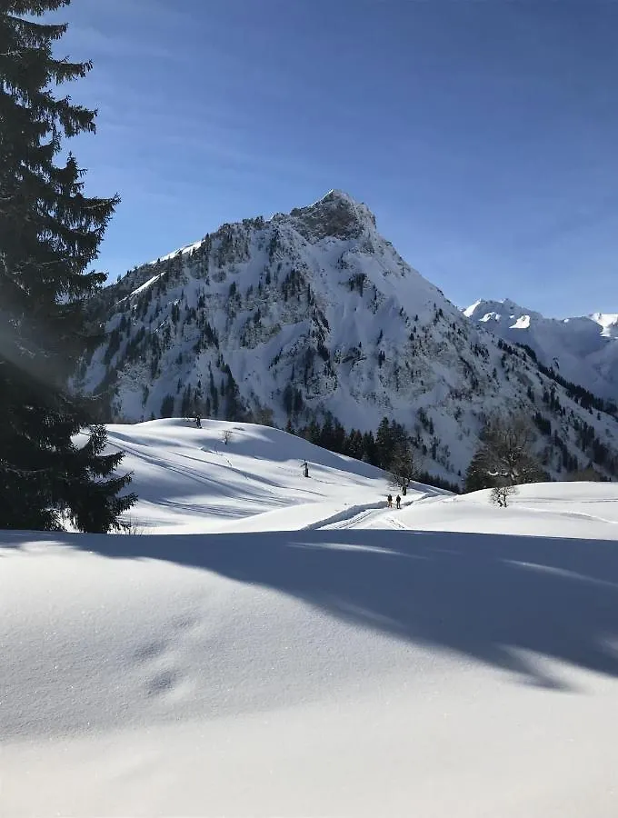 Apartment Ferienwohnung Alpenzeit Bad Hindelang