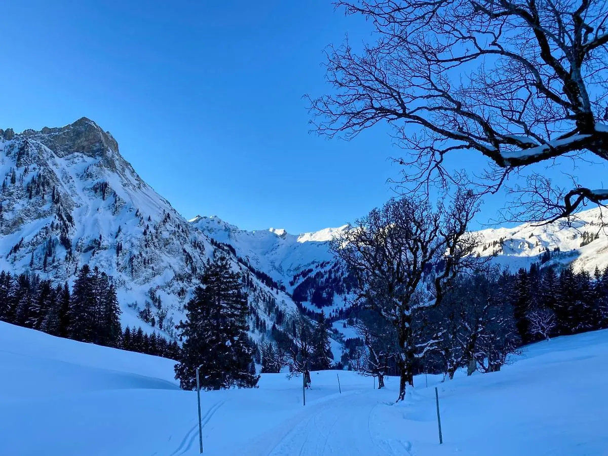 Ferienwohnung Alpenzeit Bad Hindelang Apartment